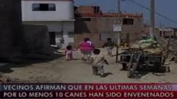 SMP: matan a perros para robar en casas de asentamiento humano