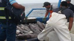 Produce fija por primera vez cuota de bacalao: 120 toneladas