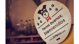 Aquí tus mascotas son más que bienvenidas