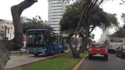 Retiran chofer de bus azul que invadió ciclovía en Av. Arequipa