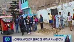Los Olivos: detienen a policía acusado de matar a perro