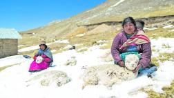 Hace falta personal de salud en Puno para atención por heladas