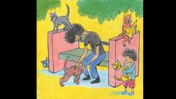 Adopta un gato, por Pedro Suárez-Vértiz