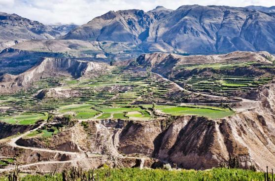 El Valle del Colca es un lugar para renovarse