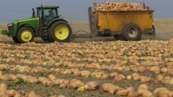 Producción de alimentos causa 60% de pérdida de biodiversidad