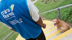 Miraflores vela por sus mascotas