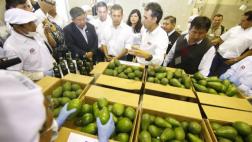 Produce invirtió S/6,3 mlls. en CITE Agroindustrial en Huaura