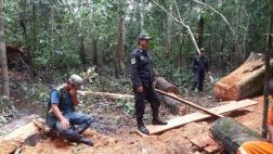 Dos hombres fueron detenidos por talar árboles ilegalmente