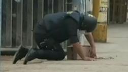 Caja con un cuy movilizó a policías de UDEX en Huachipa