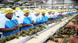 Agroexportadora Danper venderá por US$150 millones este año