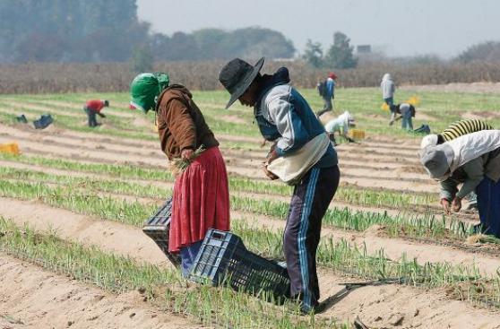 El frío de La Niña beneficiaría a las regiones costeñas