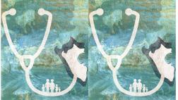 La necesaria y compleja agenda de salud,por Midori de Habich