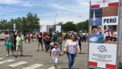 Elecciones 2016: Menor afluencia de votantes en Madrid