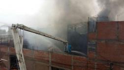 Surquillo: 3 perros adoptados por vecinos murieron en incendio