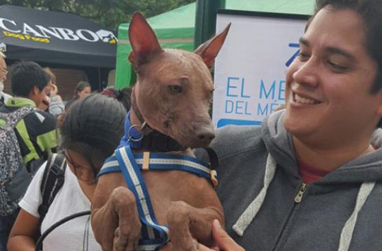 Surco celebra aniversario del Perro Peruano 