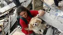 Simulacro de sismo incluirá a nuestros animales