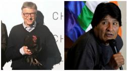 Bolivia indignada con Bill Gates por donación de gallinas