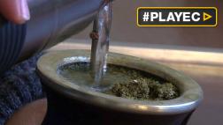 Uruguayos tranquilos: el mate ya no es cancerígeno para la OMS