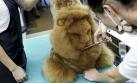 La peluquería para mascotas que se impone en Taiwán