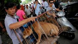 China: 11 millones de firmas contra festival de carne de perro
