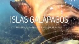 Google Maps te lleva a un tour por las Islas Galápagos
