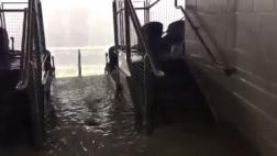 Colombia vs. Chile: así se vivió la tormenta en el estadio