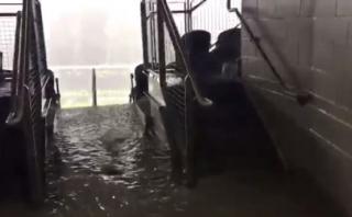 Colombia vs. Chile: así se vivió la tormenta en el estadio
