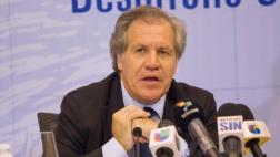 OEA: Almagro pide crear un "grupo de amigos" por Venezuela