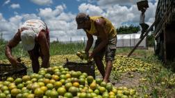ONU pide a países investigar más la contaminación de alimentos