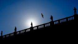 Fragatas del Pacífico pueden volar durante meses sin posarse