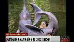 Delfín emblema del zoológico de Iquitos en situación crítica