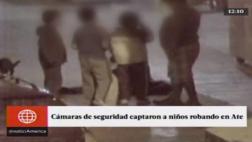 Ate Vitarte: grupos de niños vuelven a ser captados robando