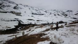 Pronostican nevadas en zonas altas de la sierra central y sur