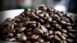La Positiva incorporará seguro dirigido a cafetaleros el 2017