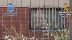 España: Mantiene a su hijo encerrado en su casa durante 2 años