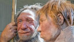 Descubren nueva evidencia de canibalismo neandertal