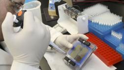 Prueban tecnología que descifra 30 genomas en un solo análisis