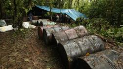 Denuncian que el petróleo amenaza a 745 especies en la Amazonía
