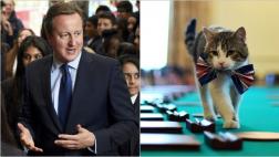 Reino Unido: David Cameron se muda, pero el gato Larry se queda
