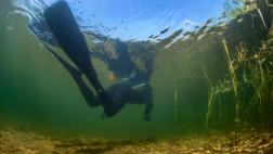 Conoce las profundidades de Escocia con esta ruta de snorkel