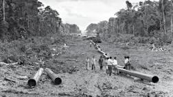 Oleoducto Norperuano: un elefante negro en la selva