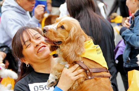 Hoy Perú celebra el Día del Perro