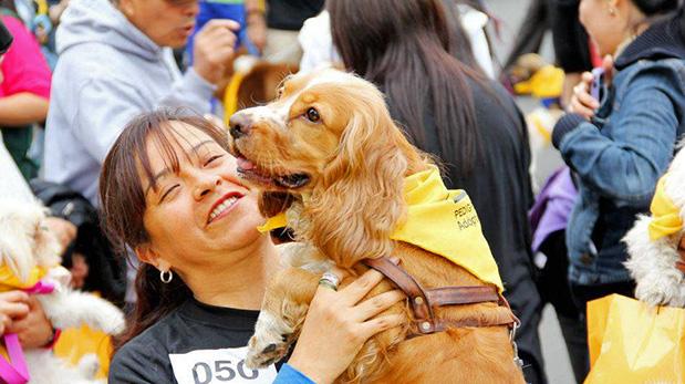Hoy Perú celebra el Día del Perro