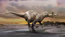 Descubren en Argentina un nuevo dinosaurio ladrón gigante