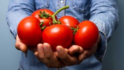 Este hombre solo comió tomates por 12 años