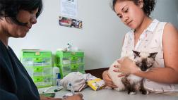 Al veterinario, la verdad aunque duela