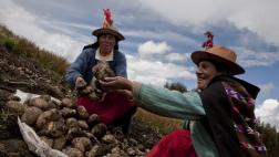 Gastronomía peruana y los retos para el nuevo gobierno