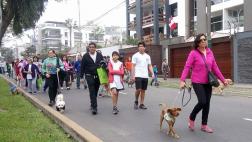 Se solidarizaron con perros sin hogar