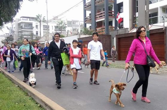 Se solidarizaron con perros sin hogar