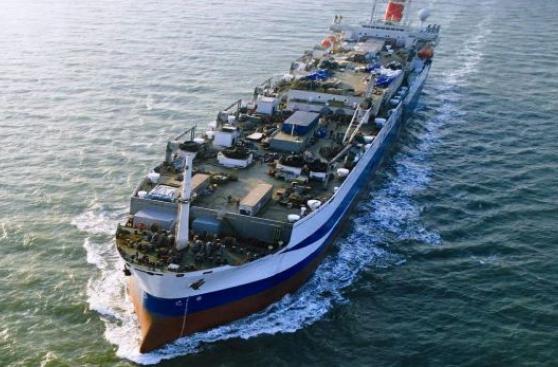 Pacific Andes analiza venta total de su negocio en Perú